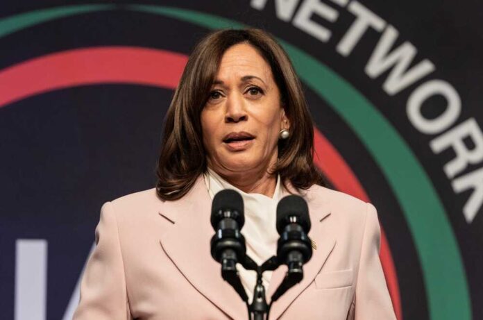 Vice,President,Of,The,Usa,Kamala,Harris,Speaks,During,Nan