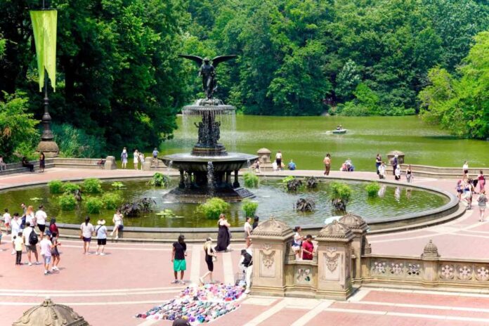 New,York,,Ny,,Usa,-,June,22,,2024:,Central,Park's