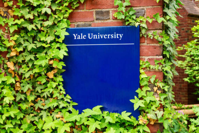 Yale,University,Sign,On,Brick,Building,Surrounded,By,Green,Ivy