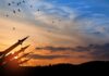 Silhouette of missiles against a colorful sunset with birds flying