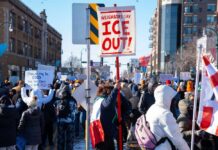 No Kings Protest Backfires Overnight Crowd of protesters holding signs at a rally against ICE