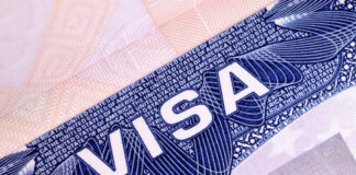 Close-up of a visa document showing the word VISA and intricate design elements