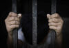 A childs hands gripping prison bars, conveying a sense of confinement and distress