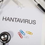 Document titled 'HANTAVIRUS' surrounded by medical tools and paper clips
