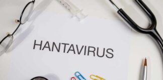 Document titled 'HANTAVIRUS' surrounded by medical tools and paper clips