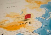 Outrage Erupts: Celebrity Dog Slaughtered Map of China with a small Chinese flag placed on it