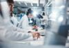 AI Spots Eye Damage Before Vision Blurs Scientists working in a laboratory with microscopes and test tubes