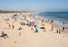 Terrifying Mauling Triggers Beach Shutdown Crowded beach with people sunbathing and playing in the water