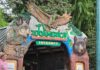 Zoo Oracles Exposed: It’s Just Editing Entrance to ZooAmerica featuring animal sculptures and signage