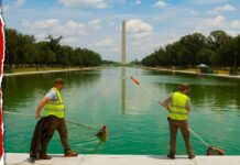 Blue Pool Fiasco Exposes No-Bid Favor Trump’s ‘American Flag Blue’ Reflecting Pool Turns Green After Algae Takeover
