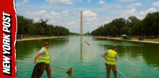 Trump’s ‘American Flag Blue’ Reflecting Pool Turns Green After Algae Takeover
