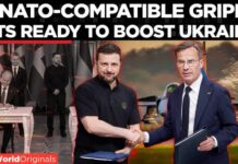 UKRAINE GETS GRIPENS: Zelensky Secures Swedish Jets Built for War With Russia | Times Now World