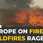 Wildfires sweep across southern Europe as heatwave fuels new blazes