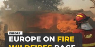 Wildfires sweep across southern Europe as heatwave fuels new blazes