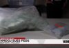 Whistleblowers Drop Bomb On DEA NMDOJ sues feds to access fentanyl records amid whistleblower complaints