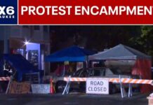 Pre-Dawn Crackdown Ignites Madison Chaos Madison police shooting; city crews begin clearing out protest encampment | FOX6 News Milwaukee