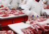 Safety Gap Exposed In Trump Beef Push Butchers cutting raw meat on processing line