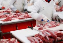 Butchers cutting raw meat on processing line