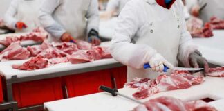 Butchers cutting raw meat on processing line