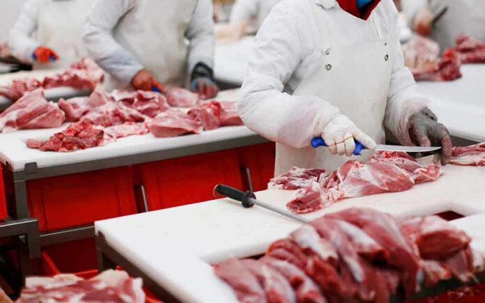 Butchers cutting raw meat on processing line