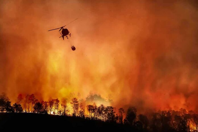 Helicopter fights massive wildfire over burning forest