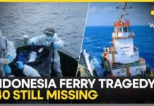 Indonesia Ferry Disaster: More Than 100 People Rescued So Far | WION News