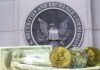 cryptocurrency coins and cash in front of SEC emblem