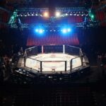 MMA octagon cage under arena lights