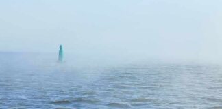 Green buoy in foggy sea