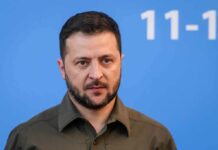 man in olive shirt against blue background