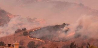 Wildfire burns on hillside near suburban homes