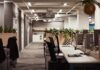 Open-plan office with empty desks and plants along partitions
